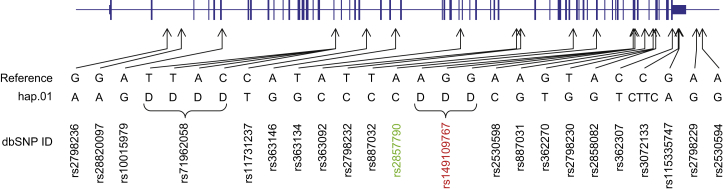 Figure 2