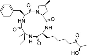 graphic file with name dddt-11-273Fig19.jpg