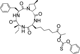 graphic file with name dddt-11-273Fig21.jpg