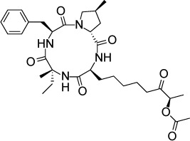 graphic file with name dddt-11-273Fig20.jpg