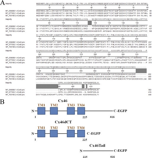 FIGURE 12.