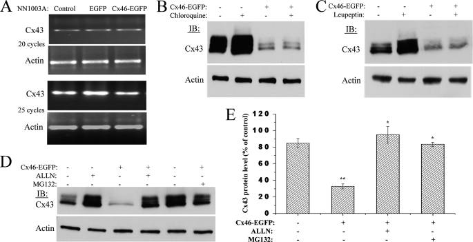 FIGURE 10.