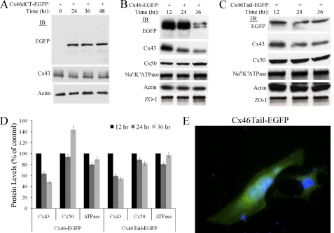 FIGURE 13.