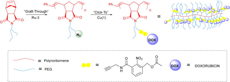 Figure 43