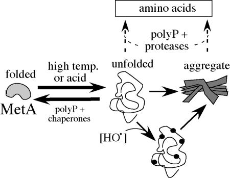 FIG. 9.