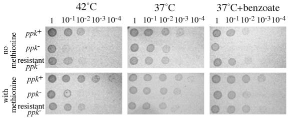 FIG. 6.