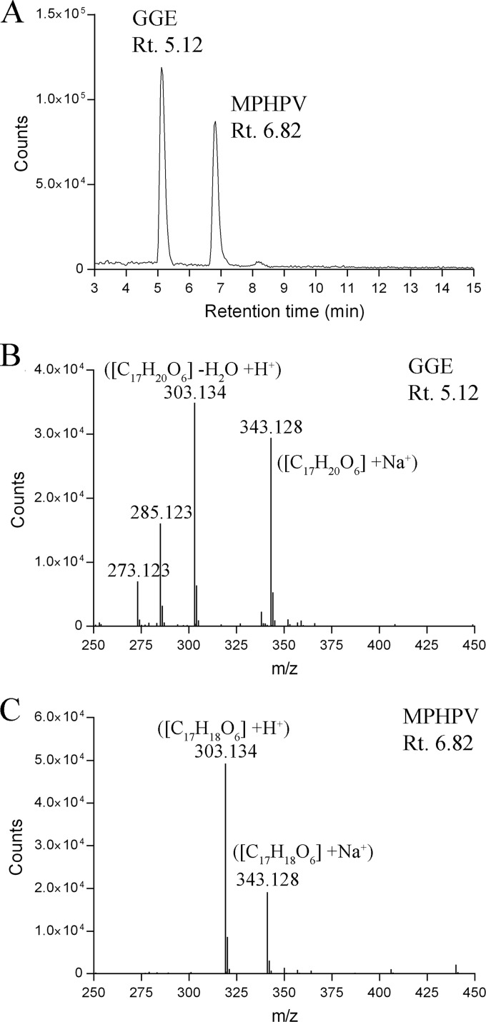 FIG 3