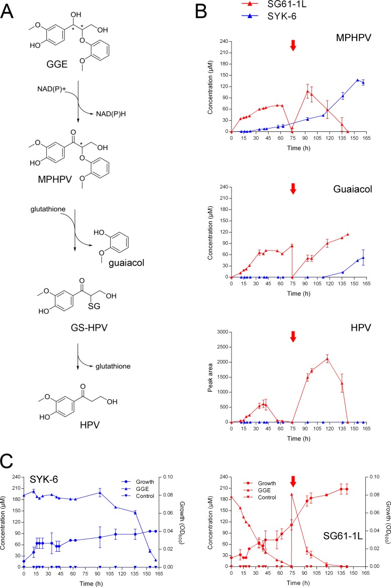 FIG 1