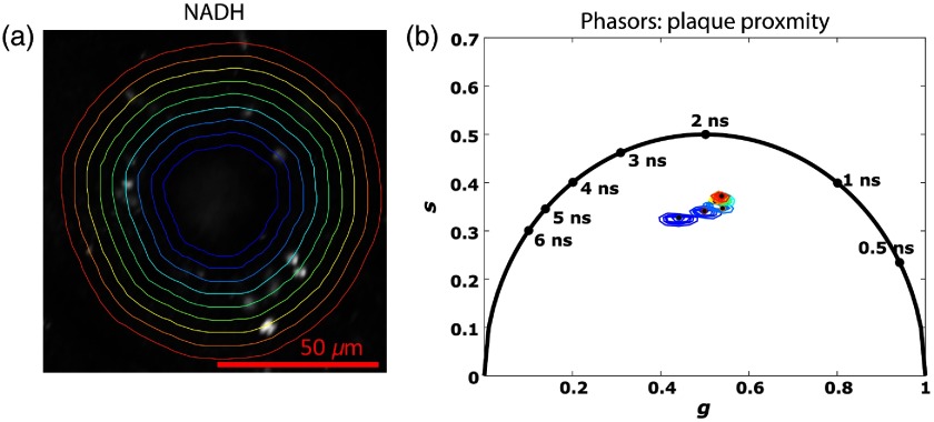 Fig. 3