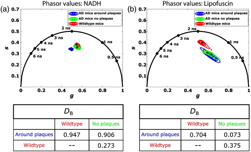 Fig. 2