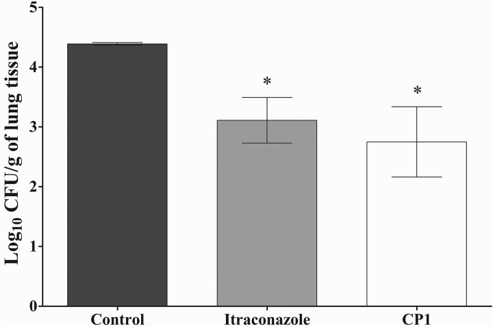 FIG 7