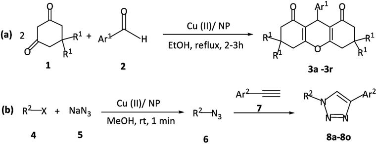 Scheme 1