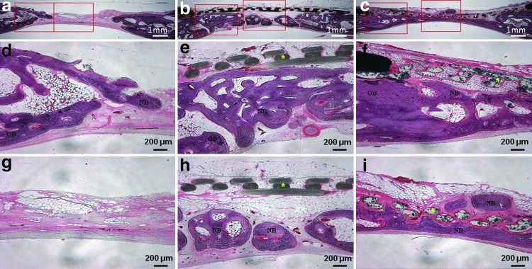 FIG. 7.