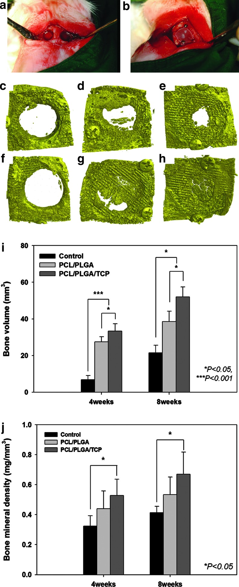 FIG. 5.