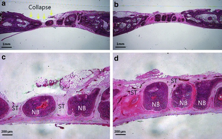 Appendix FIG. A3.