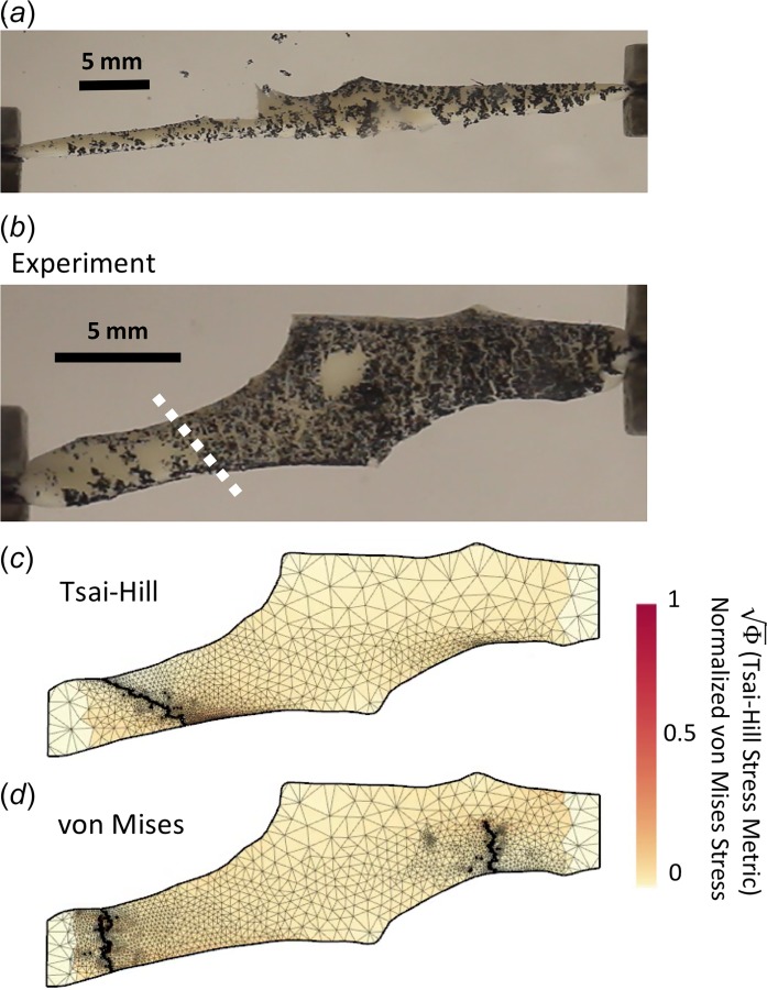 Fig. 8