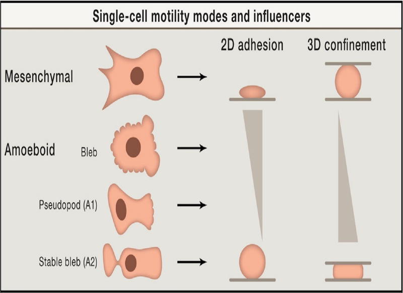 Fig. 1.1