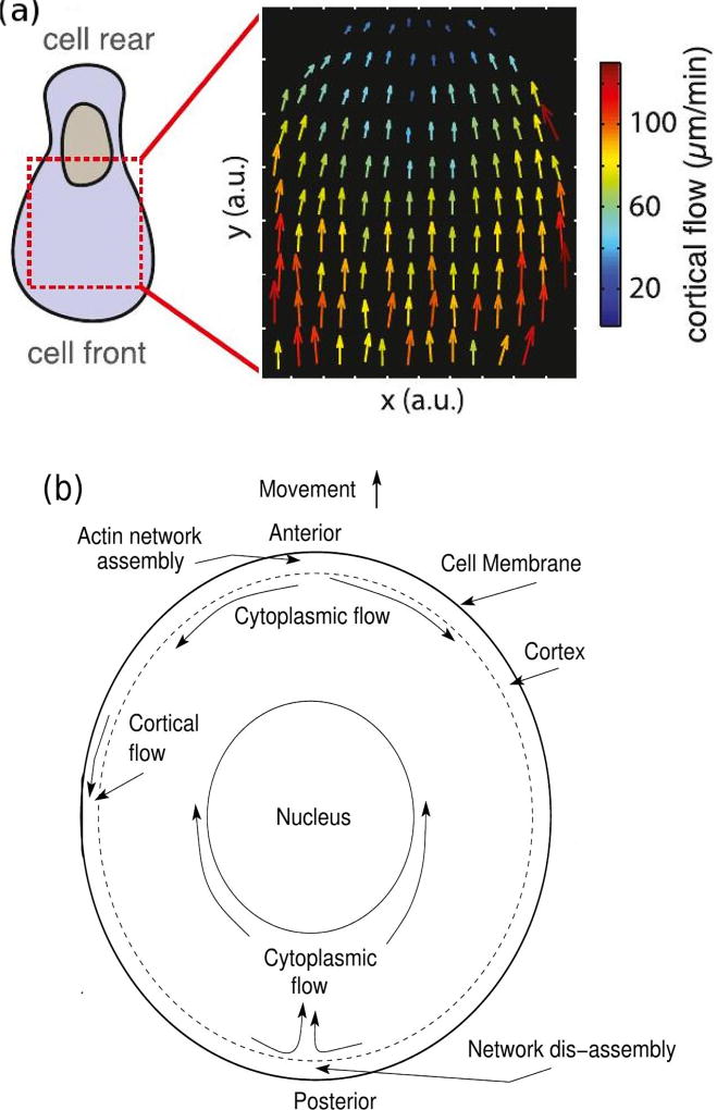 Fig. 2.1