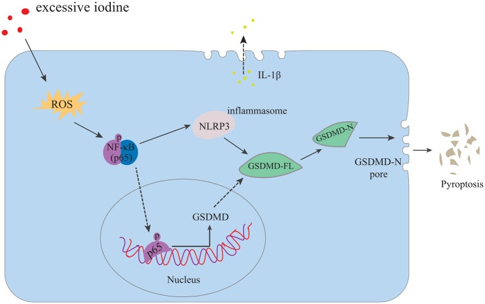 Figure 5