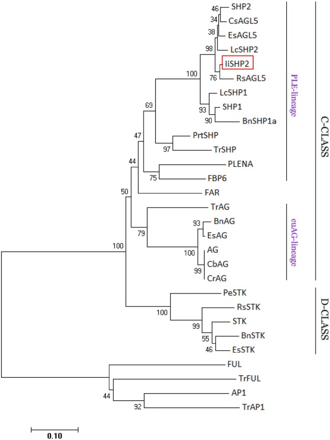 Fig. 2