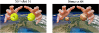 Fig. 12