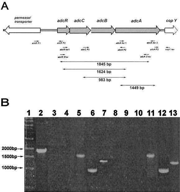 FIG. 5.