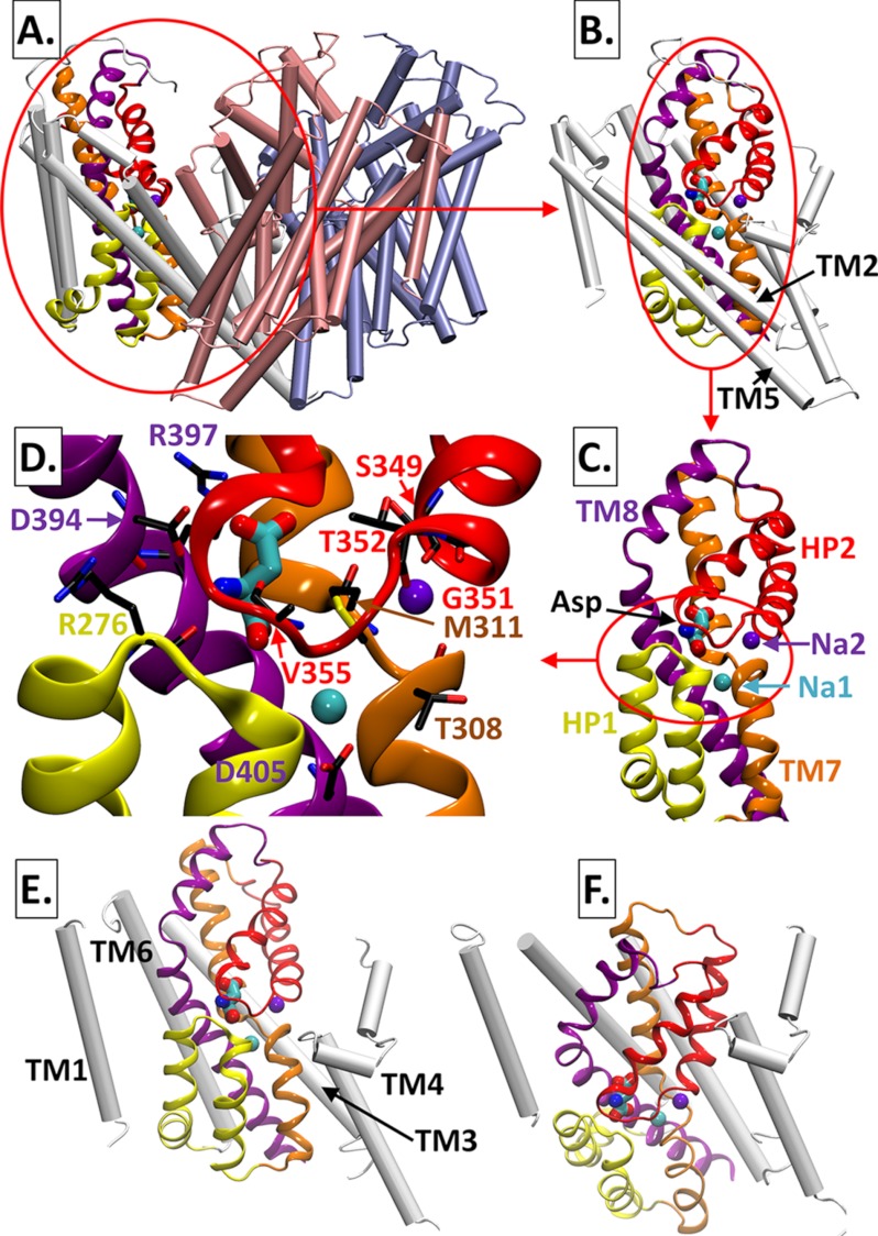 FIGURE 1.