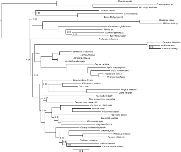 Fig. S5.