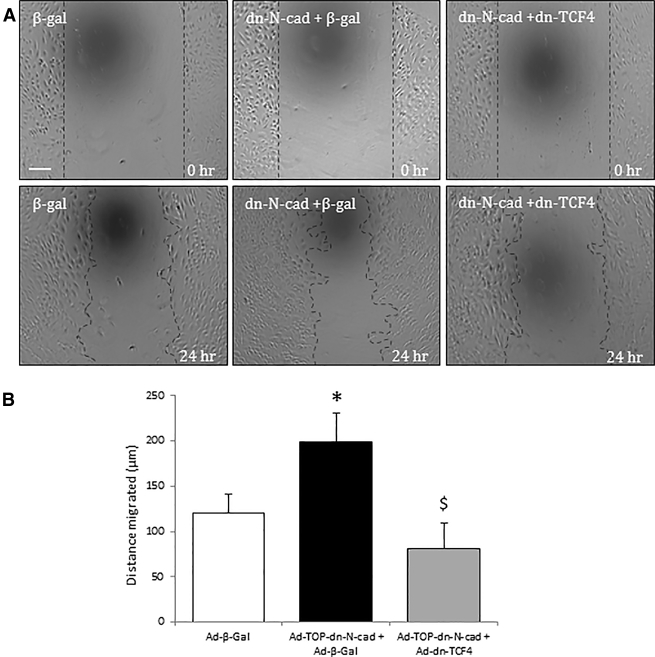 Figure 4