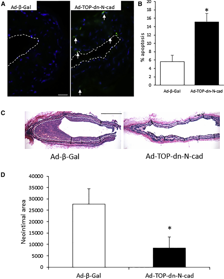 Figure 5