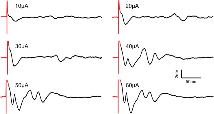 FIGURE 12