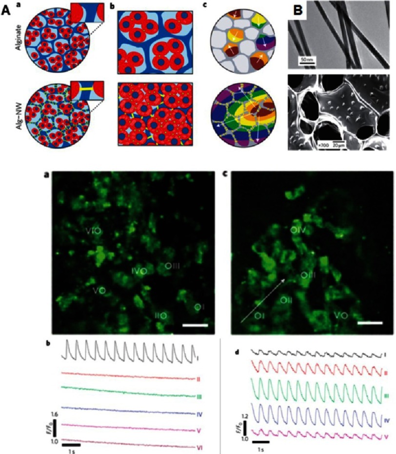 Figure 10.