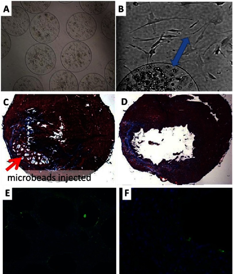 Figure 12.