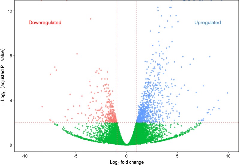 Fig. 3