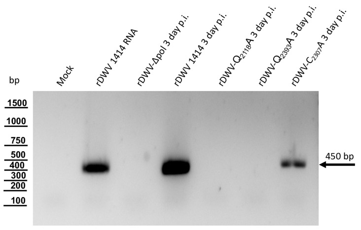 Figure 14