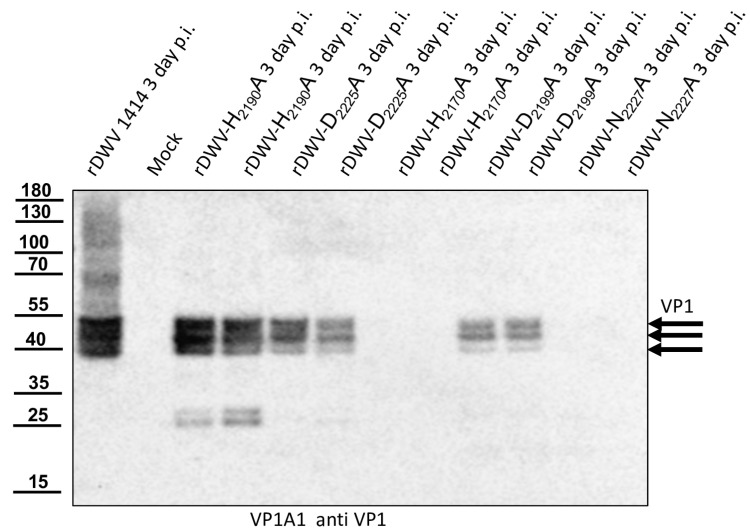 Figure 15