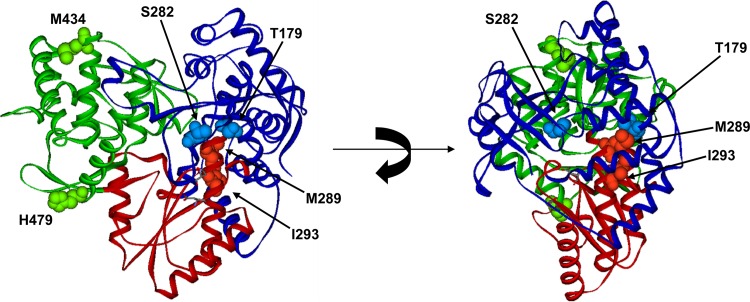 Fig 2