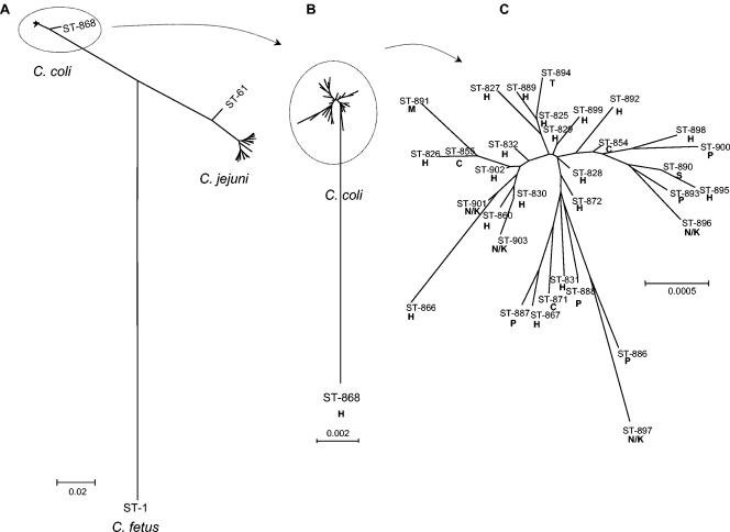 FIG. 1.