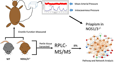 graphic file with name nihms-975416-f0001.jpg