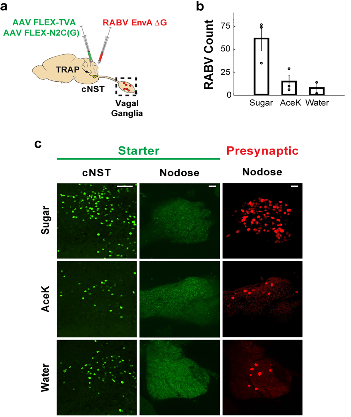 Figure 3: