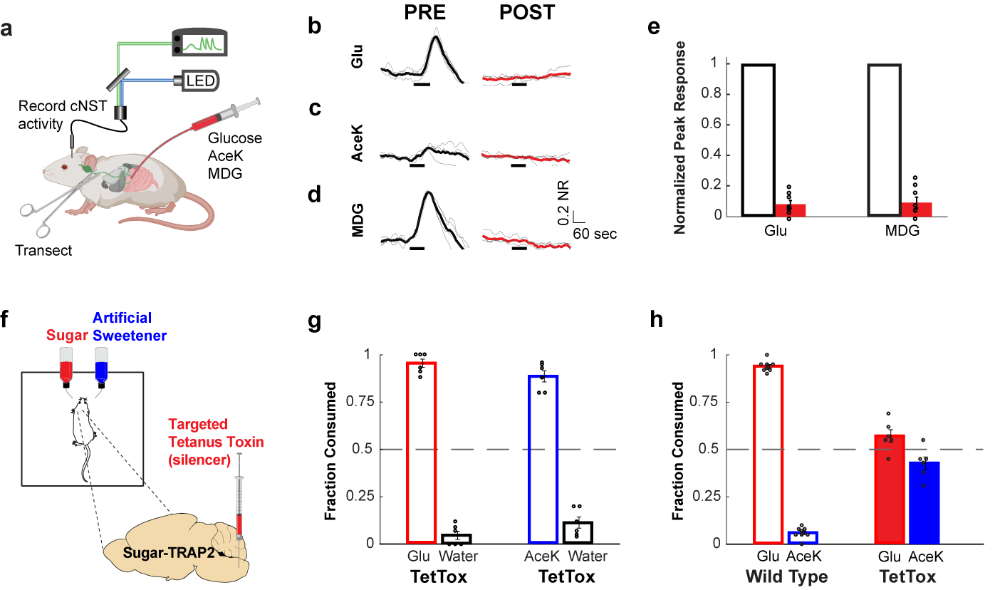 Figure 2: