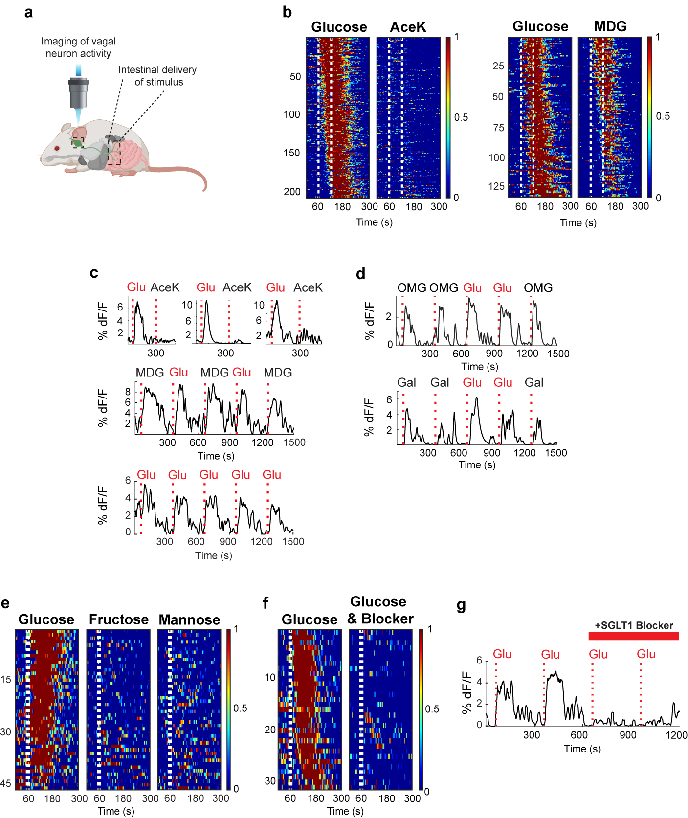 Figure 4: