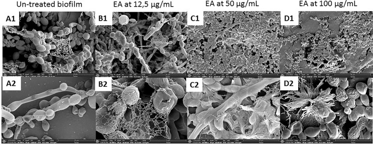 Figure 2