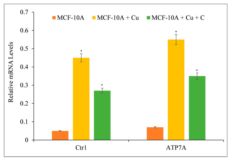 Figure 10