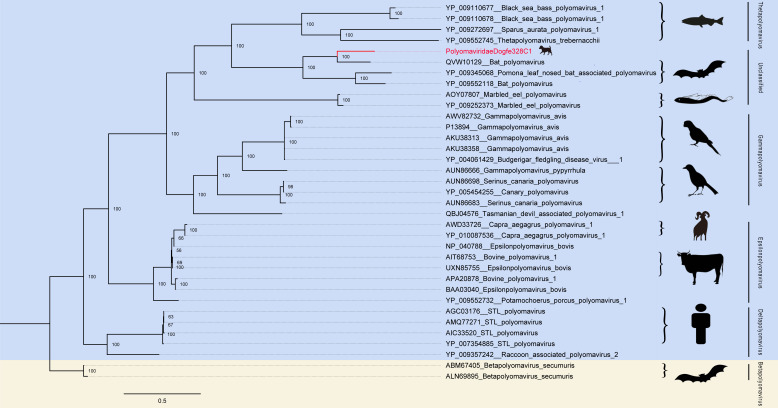 Fig 6