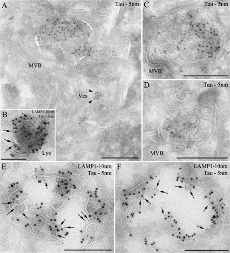 FIGURE 12.