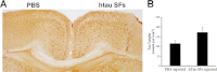 FIGURE 13.