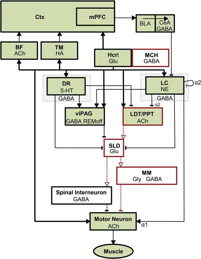 Fig. 3