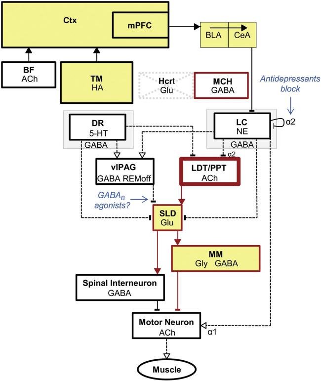 Fig. 4