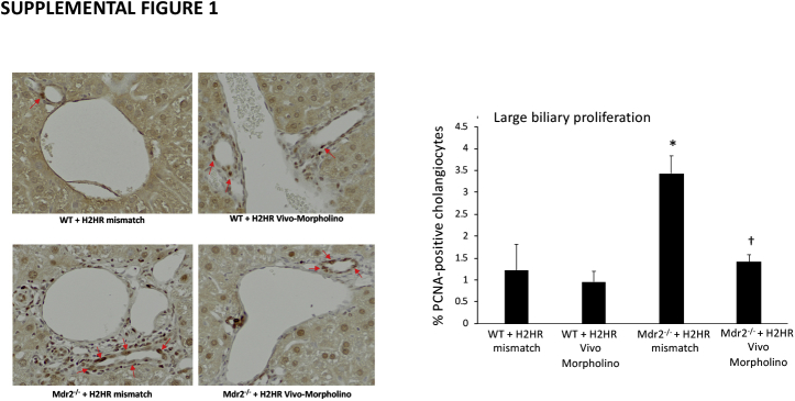 Supplemental Figure S1